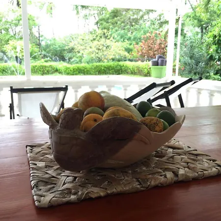 Coral House San Andres-3